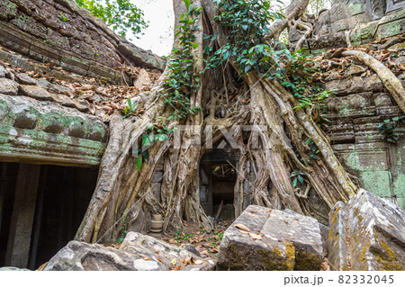 Ta Prohm temple in Angkor Wat Ta Prohm temple in Angkor Wat 82332045