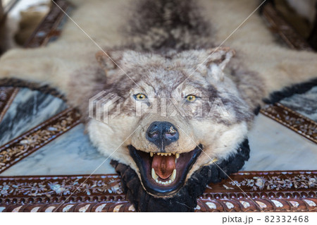 Wolf skin in Baan Dam Museum 82332468