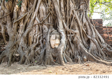 Ayutthaya Head of Buddha statue 82332491