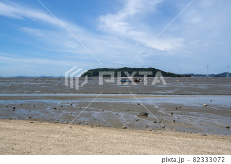 砂 海 島 82333072