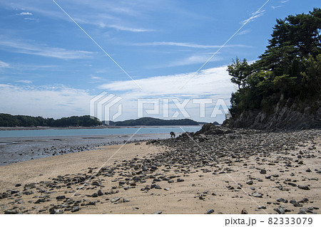 木 海 島 82333079