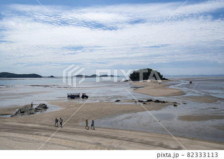 砂 海 島 82333113