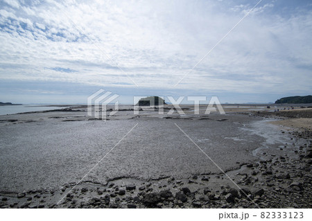 海 島 人 82333123