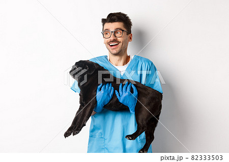 Vet clinic concept. Happy male doctor veterinarian holding cute black pug dog, smiling and looking left, standing over white background Vet clinic concept. Happy male doctor veterinarian holding cute black pug dog, smiling and looking left, standing over white background 82333503