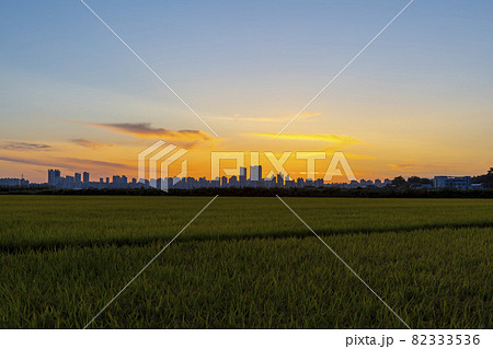 空 ノン 田畑 82333536