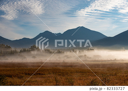 朝霧につつまれる小田代ヶ原の貴婦人 82333727