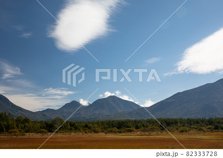 小田代ヶ原の草紅葉 小田代ヶ原の草紅葉 82333728