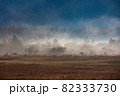 朝霧の中の小田代ヶ原 82333730