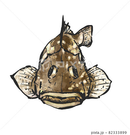 カサゴの手描き筆絵風イラスト カサゴの手描き筆絵風イラスト 82333899