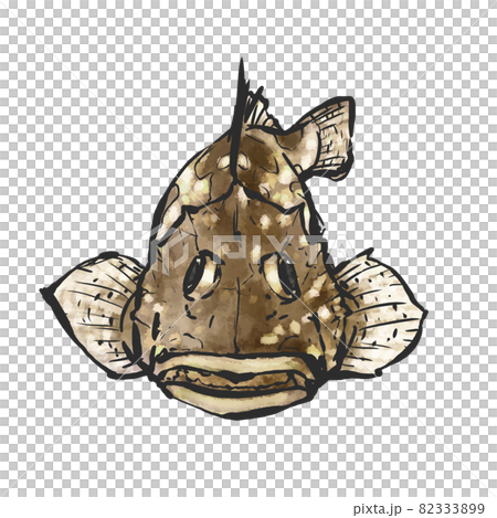 カサゴの手描き筆絵風イラスト カサゴの手描き筆絵風イラスト 82333899