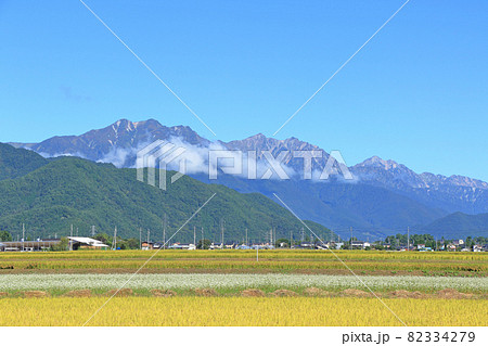 黄金色の山麓から望む秋の北アルプス 82334279