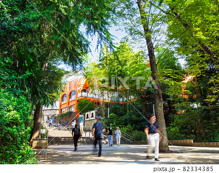 吉祥寺　井の頭公園 82334385