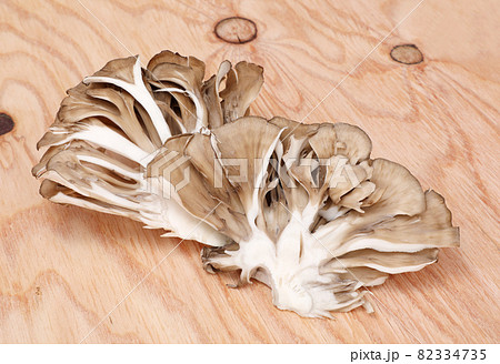 舞茸 舞茸 82334735