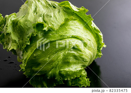 黒いバックに映えるレタス 新鮮野菜 春レタス 秋レタス 黒いバックに映えるレタス 新鮮野菜 春レタス 秋レタス 82335475