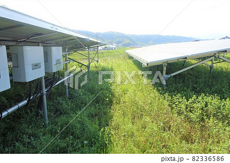 雑草が生い茂った太陽光発電所 82336586