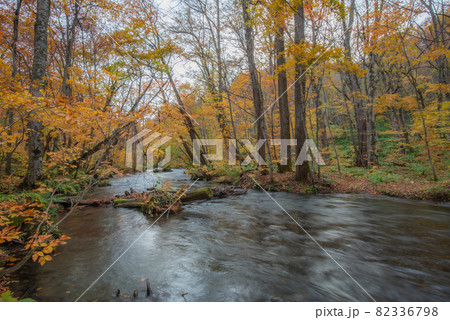錦秋 奥入瀬渓谷の写真素材 [82336798] - PIXTA