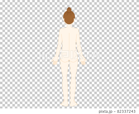 女性の全身イラスト 美容 ベクターイラスト 女性の全身イラスト 美容 ベクターイラスト 82337243