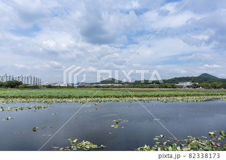 空 風景 湖 82338173