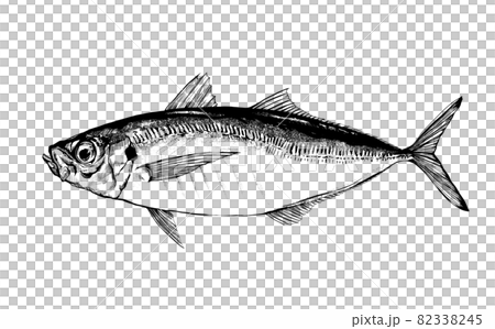 鯵のイラスト - 背景透過 - 切り抜かれています 鯵のイラスト - 背景透過 - 切り抜かれています 82338245