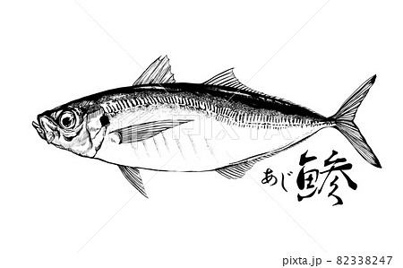 鯵のイラスト - 背景透過 - 切り抜かれていますのイラスト素材