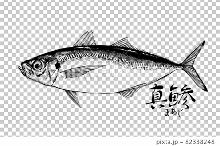 鯵のイラスト - 背景透過 - 切り抜かれています 82338248
