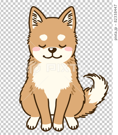 おじぎする柴犬 82338447