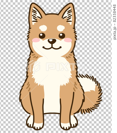 柴犬 82338448