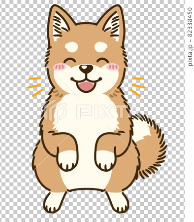喜ぶ柴犬 82338450