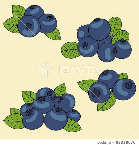 Blueberry berry color sketch icon Vector botanical design of blueberries  fruits bunch with leaf for juice or jam dessert or farmer market isolated  co Stock Vector Image  Art  Alamy