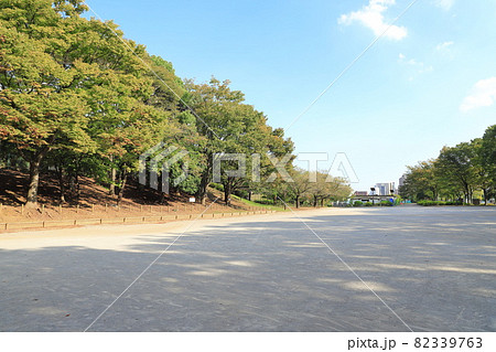 東京都立中川公園　A地区　サービスセンター前の自由広場 82339763