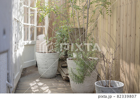ベランダにある観葉植物 82339807