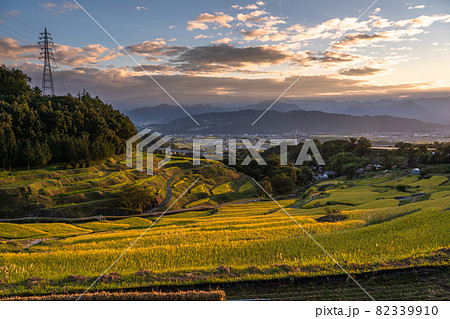《長野県》黄金色の田園風景・稲倉の棚田 82339910