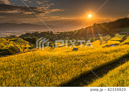 《長野県》黄金色の田園風景・稲倉の棚田 《長野県》黄金色の田園風景・稲倉の棚田 82339920