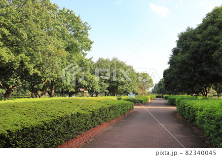 東京都立中川公園　A地区（中川水再生センターの上） 82340045