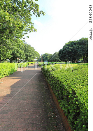 東京都立中川公園　A地区（中川水再生センターの上） 82340048