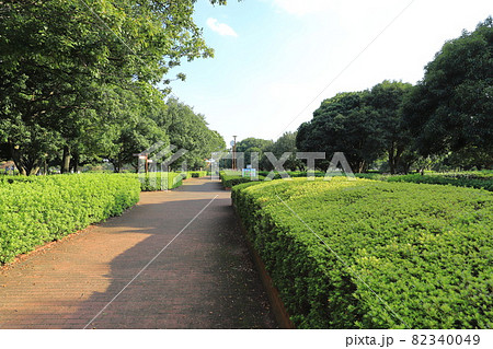東京都立中川公園　A地区（中川水再生センターの上） 82340049