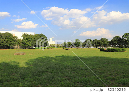 東京都立中川公園　A地区の自由広場 82340256
