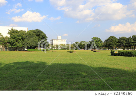 東京都立中川公園 A地区の自由広場 東京都立中川公園 A地区の自由広場 82340260