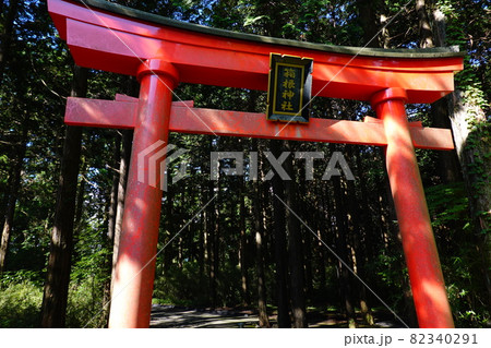 箱根神社 箱根神社 82340291