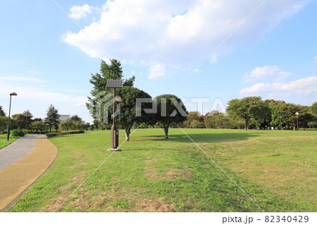 東京都立中川公園 B地区の多目的広場 東京都立中川公園 B地区の多目的広場 82340429