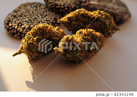 Marijuana blooms and sweets isolated on white background. Cannabis flowers and cookies close up. Marijuana blooms and sweets isolated on white background. Cannabis flowers and cookies close up. 82341146