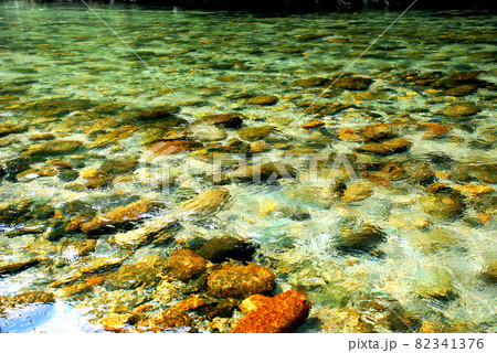 珪藻や紅藻で色鮮やかに染まった川底の石と澄んだ流れ 82341376