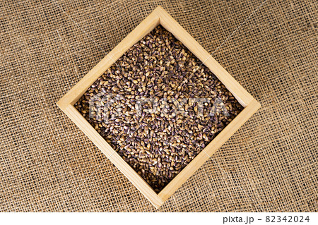 紫もち麦 国産雑穀 殻付き 食材 ヘルシー 紫もち麦 国産雑穀 殻付き 食材 ヘルシー 82342024