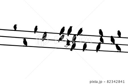 Birds on wires. Vector illustration 82342841
