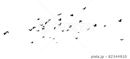 A flock of flying birds. A large flock of flying crows. Vector illustration A flock of flying birds. A large flock of flying crows. Vector illustration 82344910