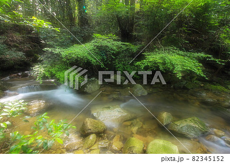 清らかな水の流れの野呂川 82345152