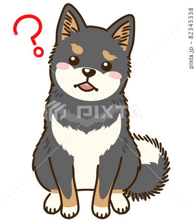 不思議に思う黒柴のイラスト素材 不思議に思う黒柴のイラスト素材