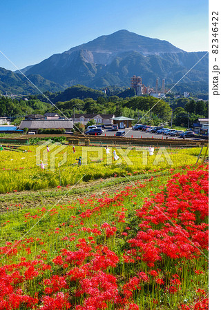 寺坂棚田 彼岸花と田園風景 埼玉県秩父郡横瀬町 の写真素材