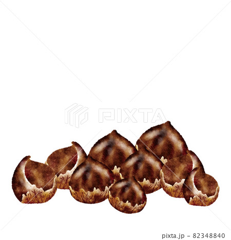 栗 栗 82348840