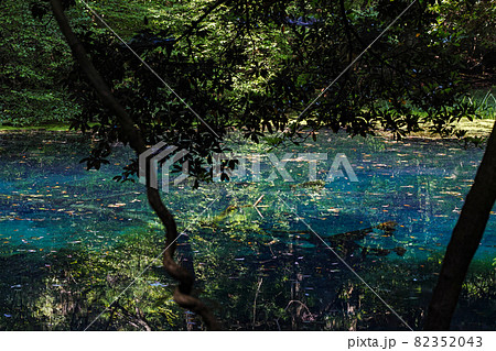 山形県/ 神秘の泉「丸池様」 82352043